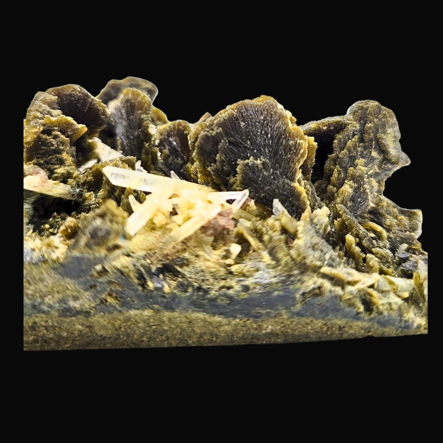 Epidote/Caribbean	89-SRB