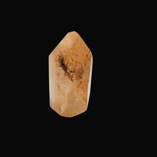 Rutilated Quartz 99-gdm
