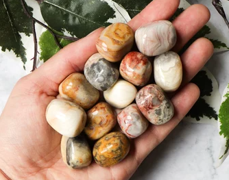 Crazy Lace Agate Tumbles