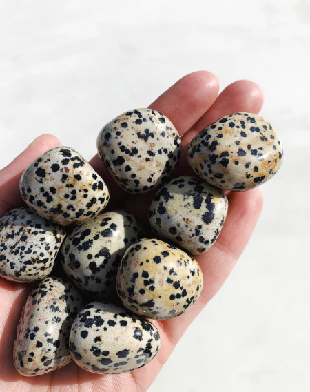 Dalmatian Jasper Tumbles