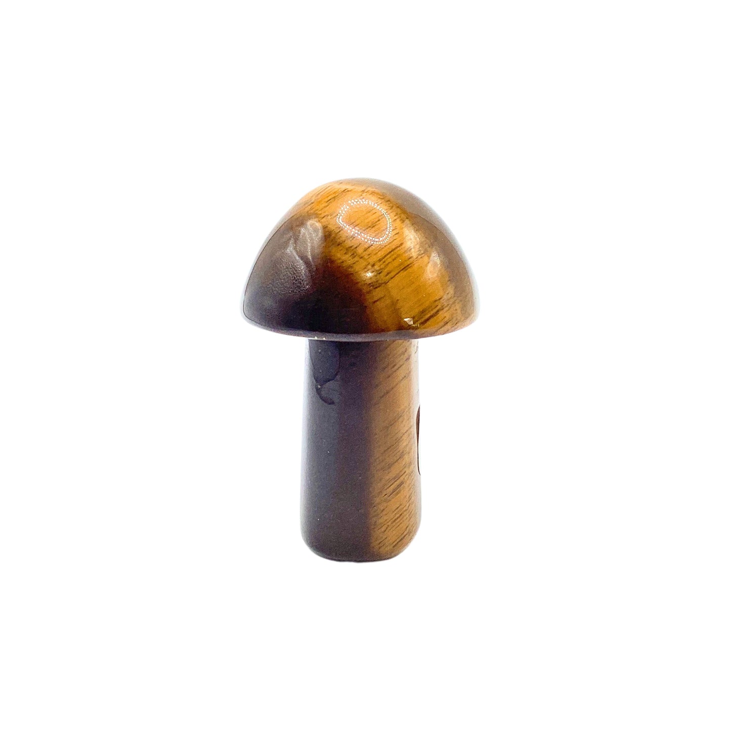 Mushroom 15-edl