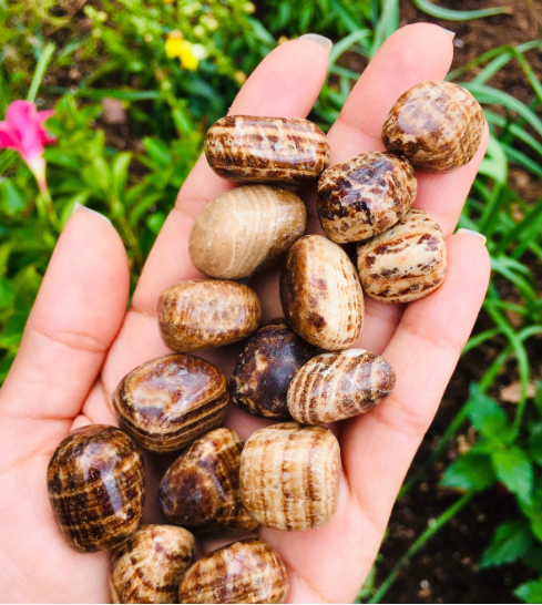 Brown Aragonite Tumbles