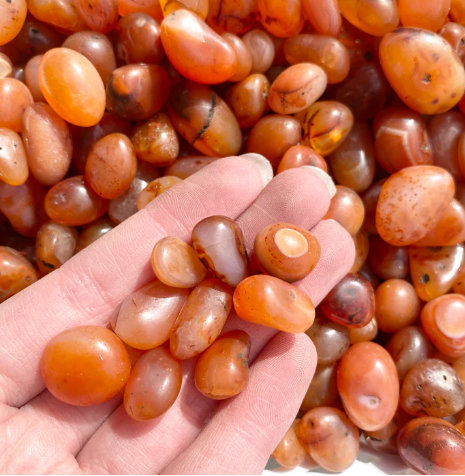 Carnelian Tumbles (Small)